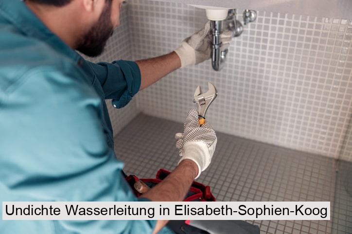 Undichte Wasserleitung in Elisabeth-Sophien-Koog